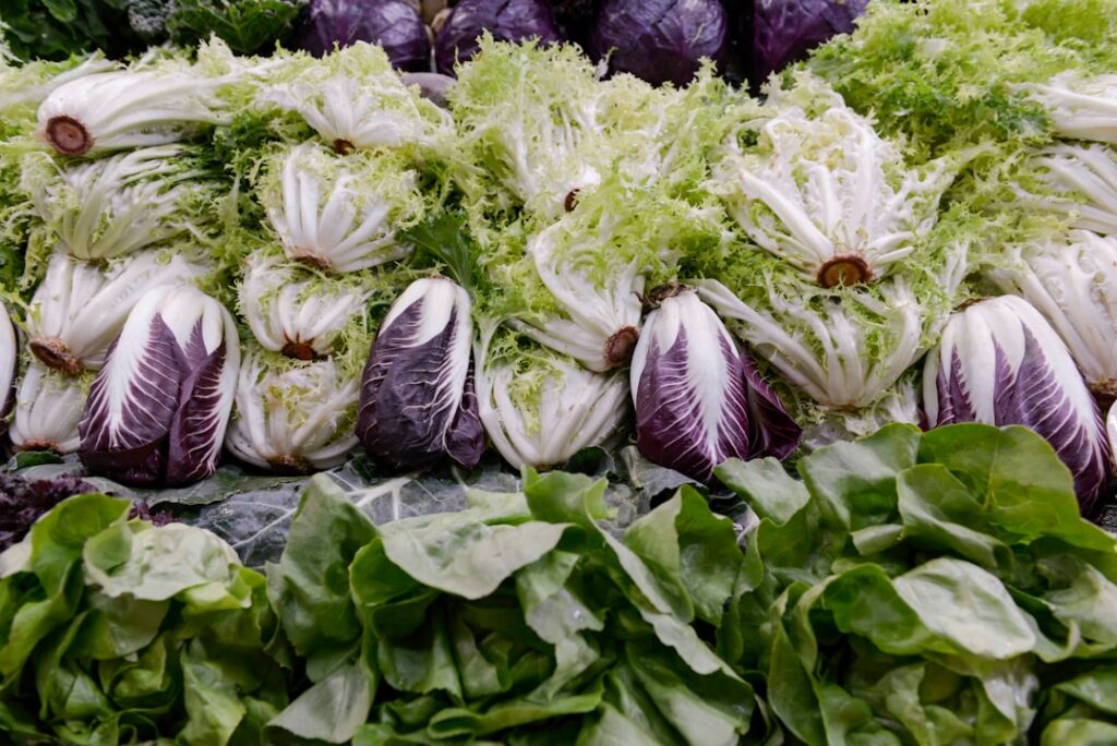 découvrez tout ce qu'il faut savoir sur la salat janaza, la prière funéraire en islam, ses rites, son importance et comment la pratiquer correctement.