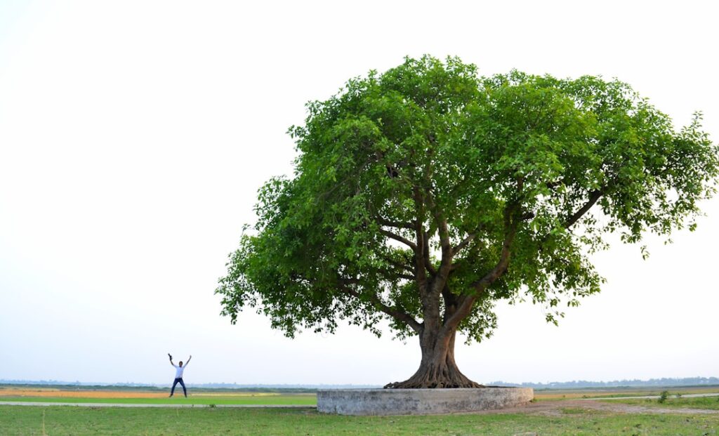 découvrez la signification profonde du symbole de l'arbre de vie, représentant la connexion, la croissance et l'harmonie entre la nature et l'humanité.