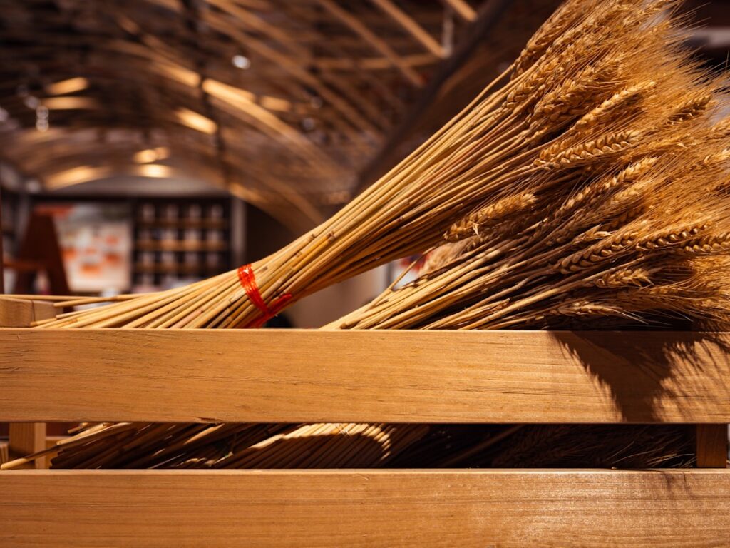 découvrez l'ambiance chaleureuse des tons chauds, parfaits pour créer des espaces accueillants et confortables grâce à des couleurs riches et apaisantes.